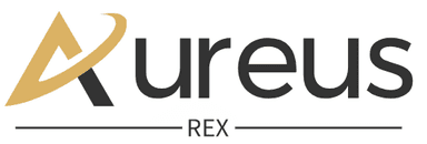 CEO, Aureus Rex Brokerage & Commercial Trading (Dubai)
